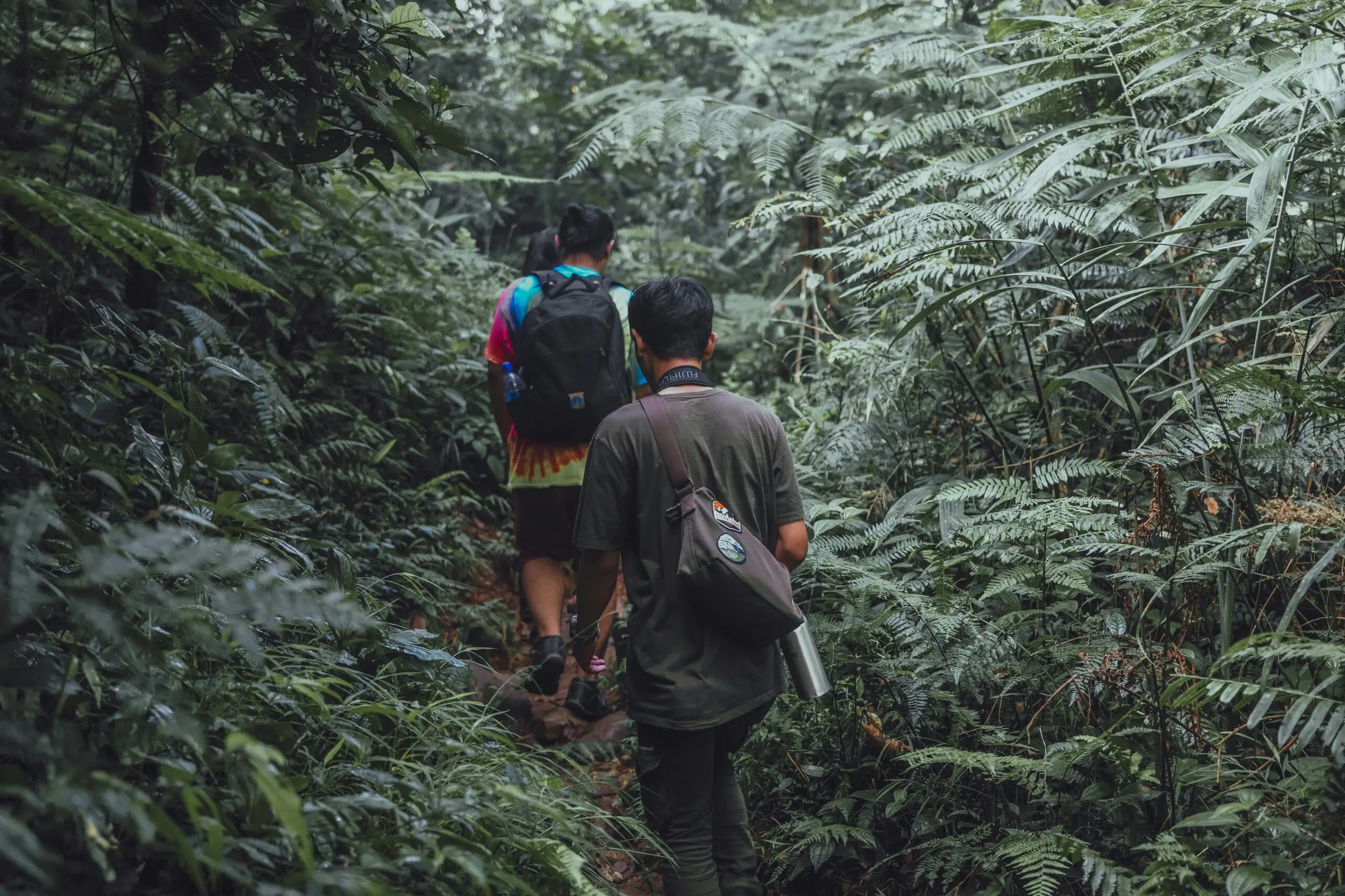 Two men hiking on a forest trail in Indonesia, surrounded by dense greenery.